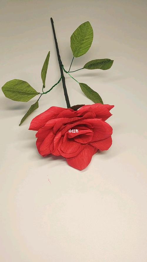 给女朋友道歉买啥花？1朵玫瑰太俗,不如送2个它!