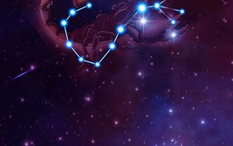 天蝎座的最好的十二星座对象是谁？