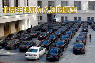 东城区北京车牌大的出租公司